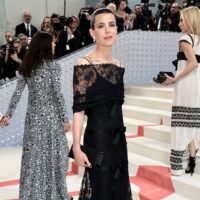 MET Gala Los Looks Que No Te Puedes Perder Cranberry Chic Magazine